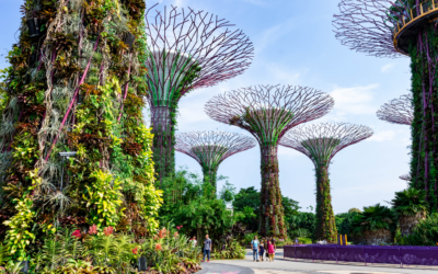 Reasons Why Singapore Is A Good Place To Live